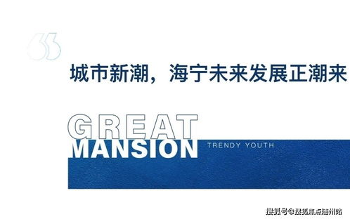 海宁2021网络安全事件 官方紧急响应与软件开发新动向