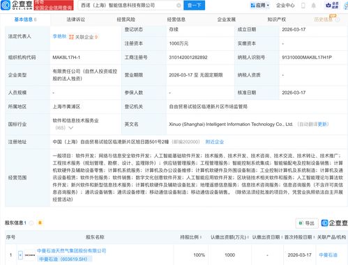 中曼石油跨界布局AI 成立智能信息科技公司，聚焦上海信息安全软件开发